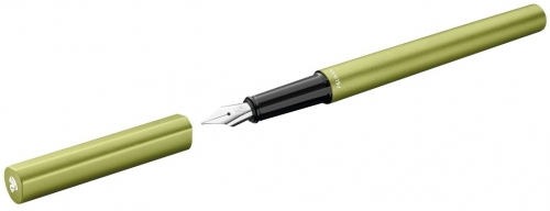 Stilou Pelikan Ineo Elements Green Oasis, penita M, in cutie de carton